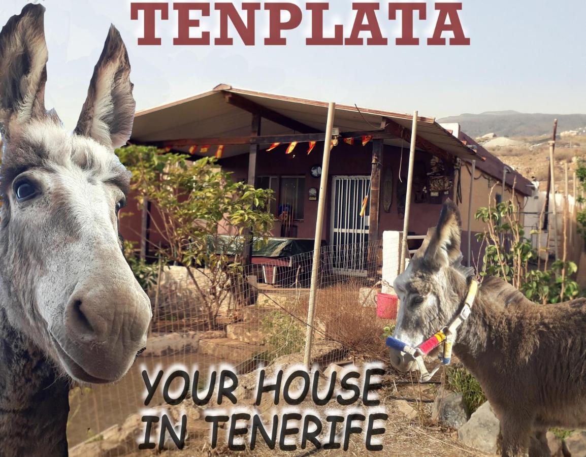 Tenplata Тихоко-де-Абахо Экстерьер фото